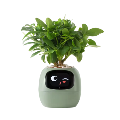 Omniplanter